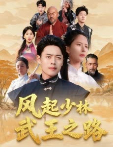风起少林武王之路封面