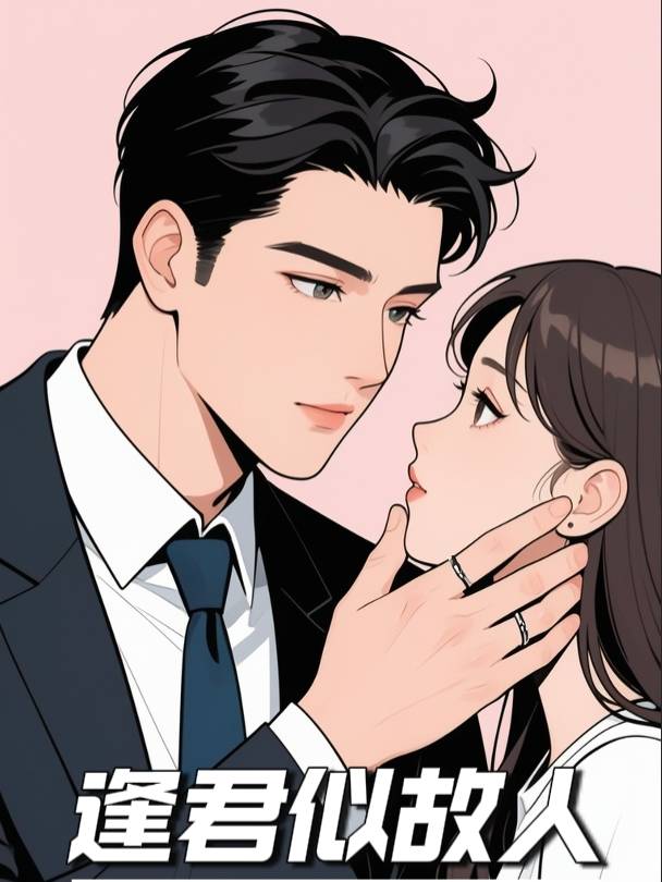 逢君似故人封面
