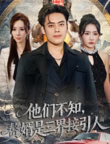 他们不知,赘婿是三界接引人封面