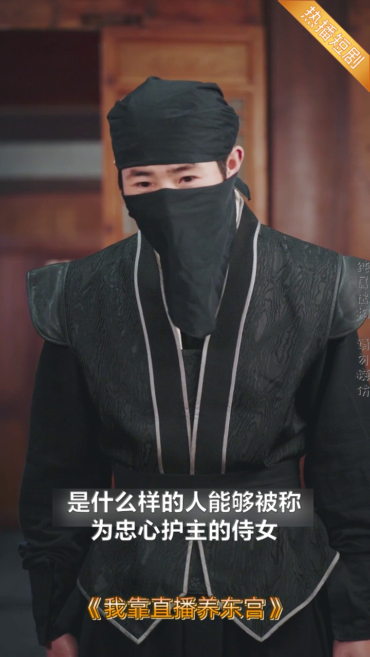 我靠直播养东宫封面