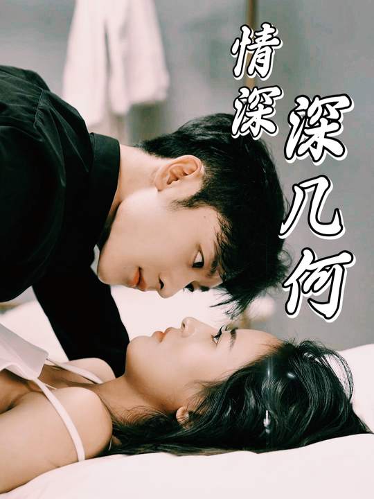 情深深几何封面
