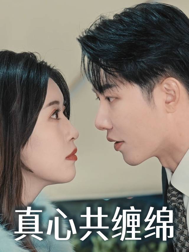 真心共缠绵封面