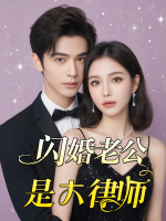 闪婚老公是大律师封面