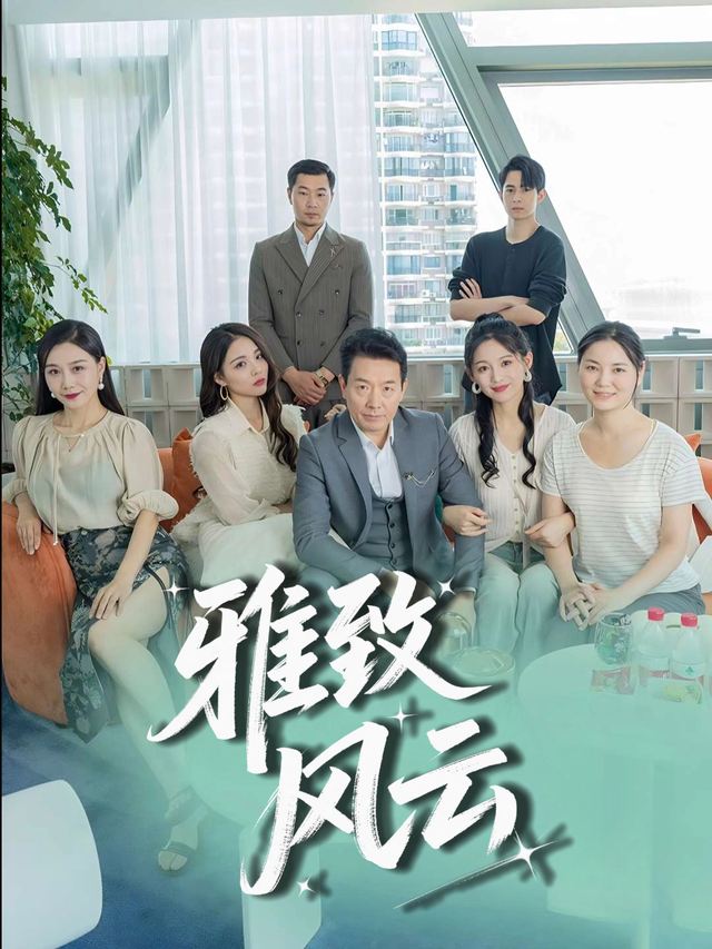 雅致风云封面