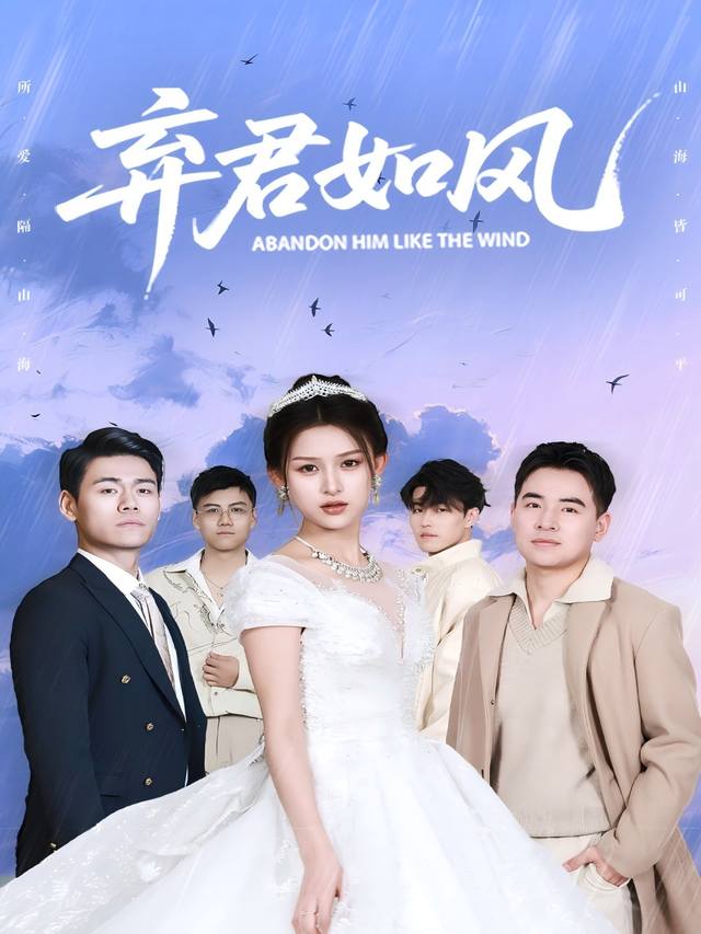 弃君如风封面