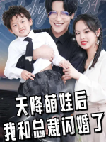 天降萌娃后我和总裁闪婚了封面