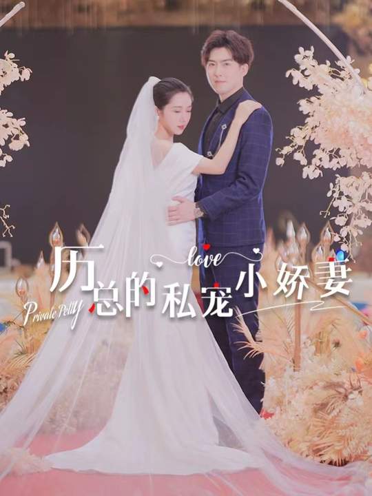 历总的私宠小娇妻封面