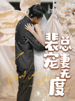裴总宠妻无度封面