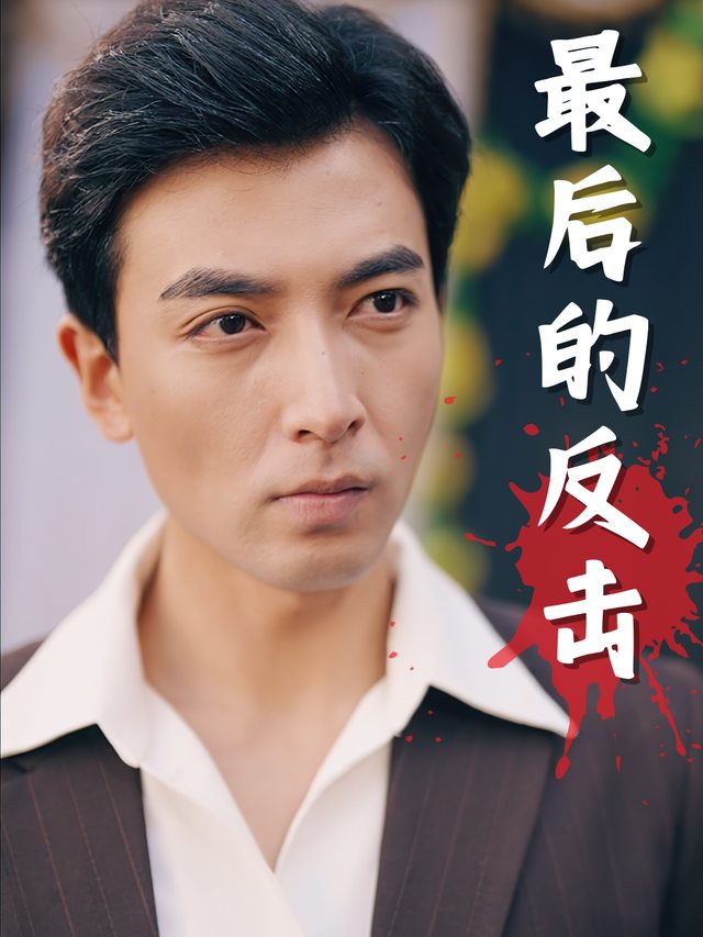 最后的反击封面