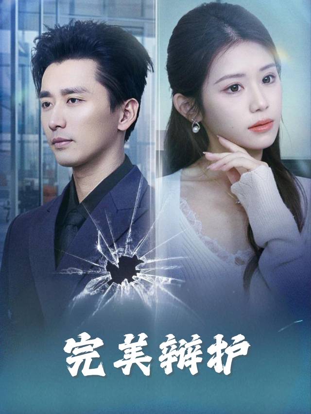 完美辩护封面