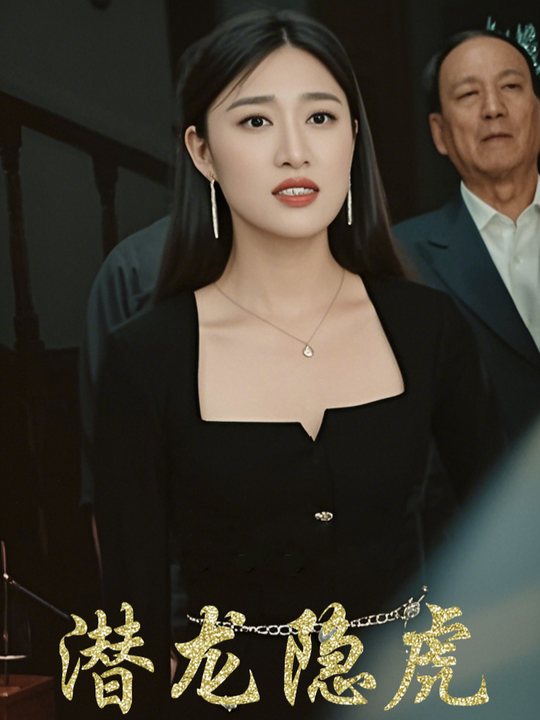 潜龙隐虎封面