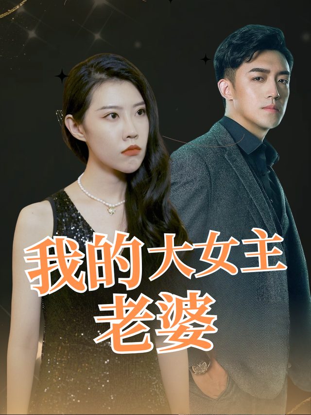 我的大女主老婆封面