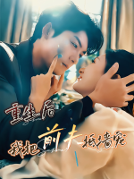 重生后我把前夫抵墙宠封面
