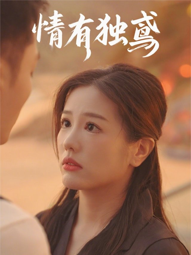 情有独鸢封面
