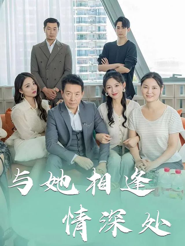 与她相逢情深处封面