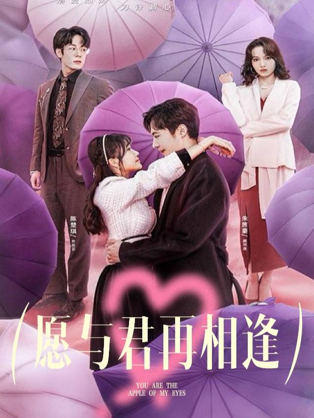 愿与君再相逢封面