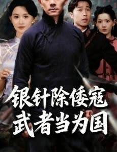 银针除倭寇武者当为国封面