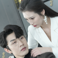 完美的她封面