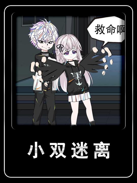 小双迷离封面