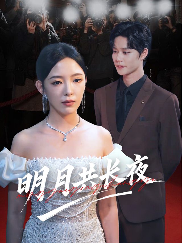 明月共长夜封面