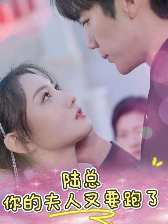 陆总,你的夫人又要跑了封面