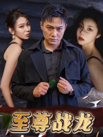 至尊战龙封面