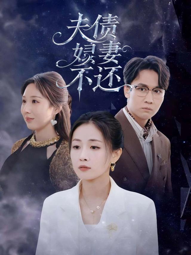 夫债妻不还封面