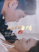 闪婚大叔动了心封面