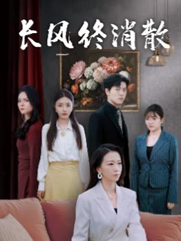 长风终消散封面