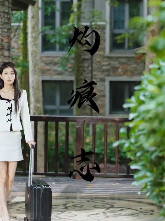 灼痕志封面