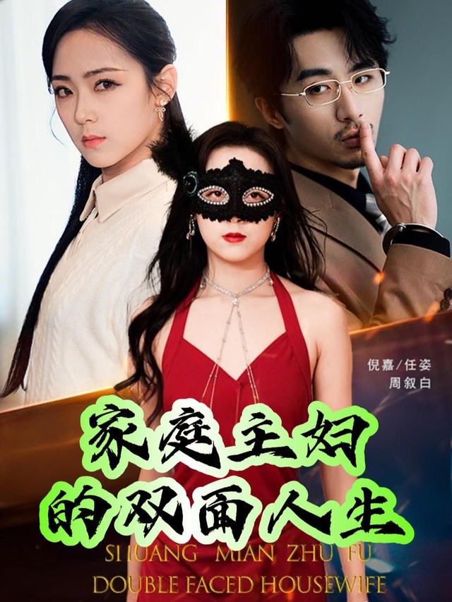 家庭主妇的双面人生封面