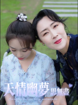 天情幽梦思无尽封面