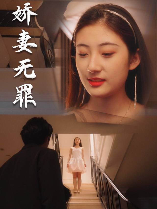 娇妻无罪封面