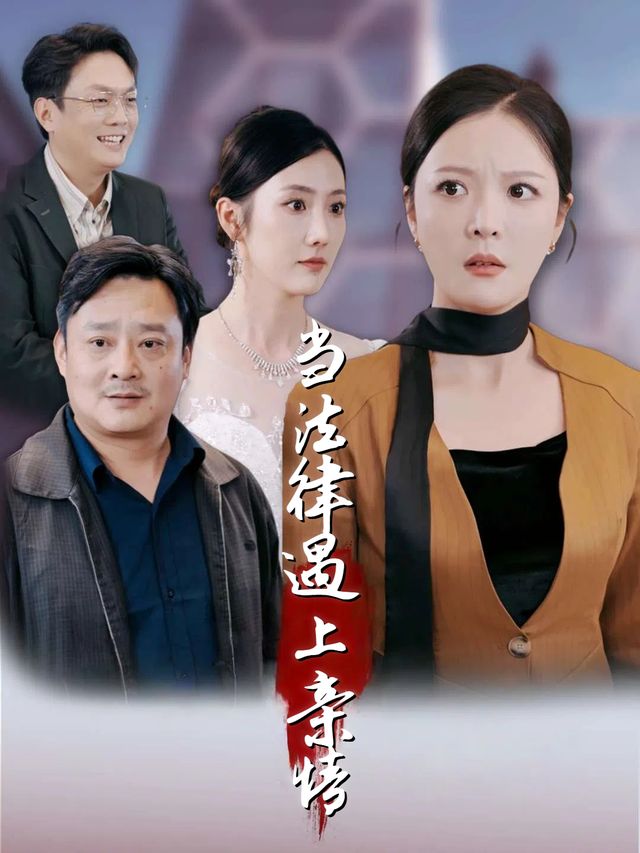 当法律遇上亲情封面