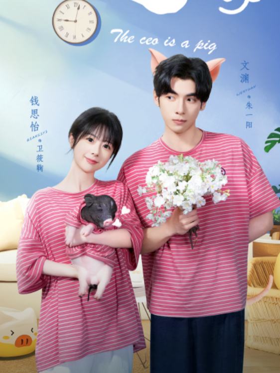 猪老板驾到封面