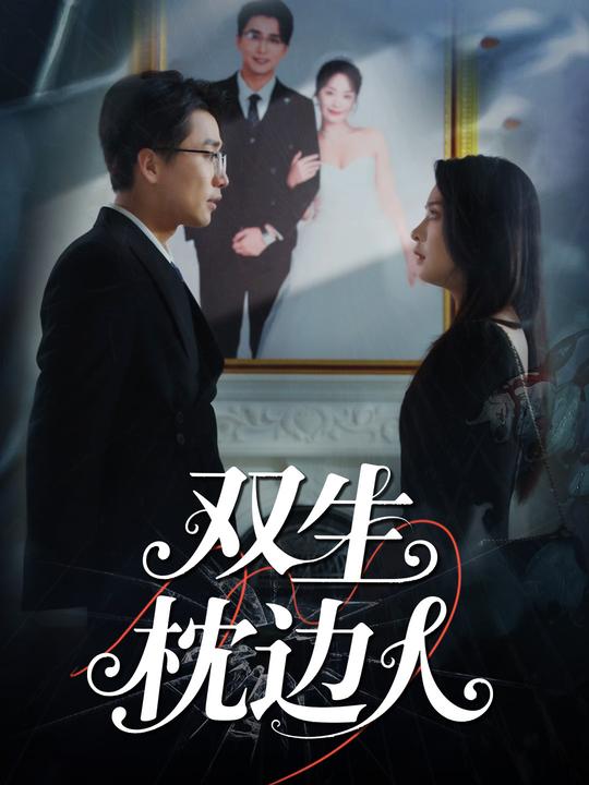 双生枕边人封面