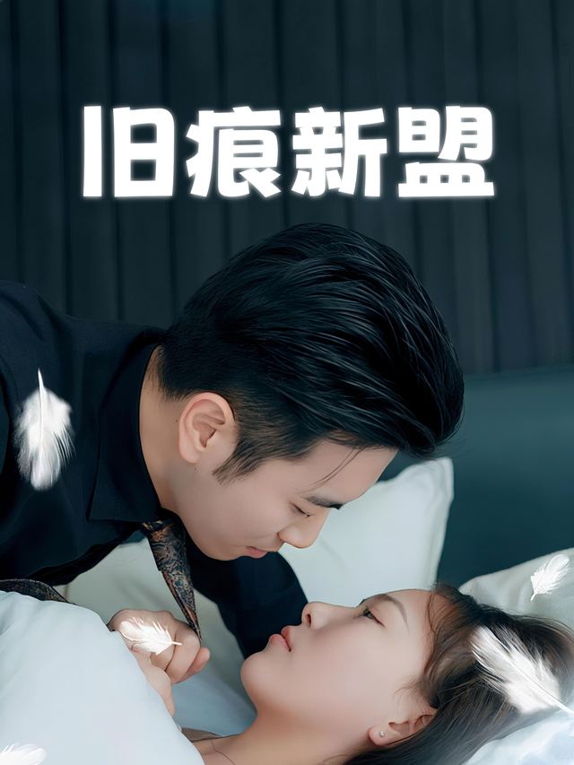 旧痕新盟封面