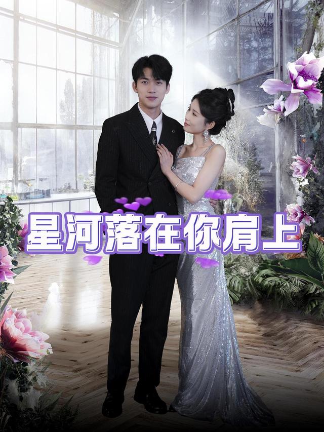 星河落在你肩上封面