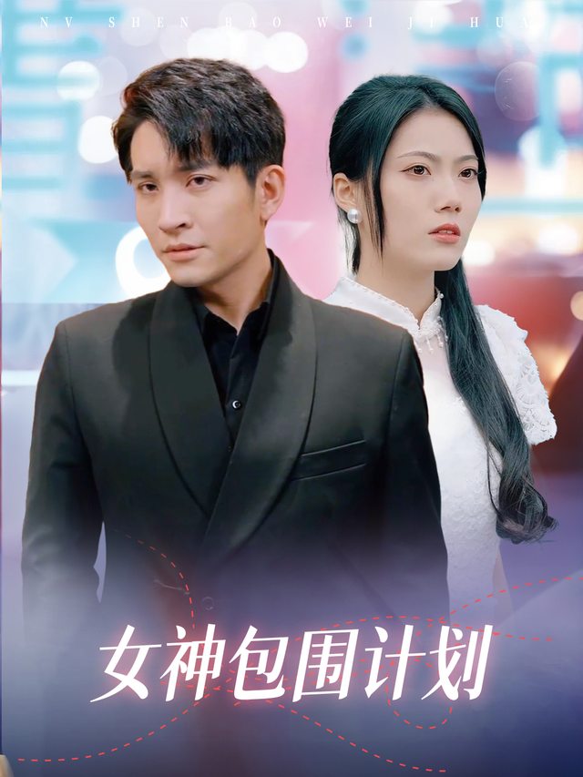 女神包围计划封面