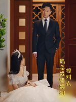 陆总找错媳妇撩对人封面