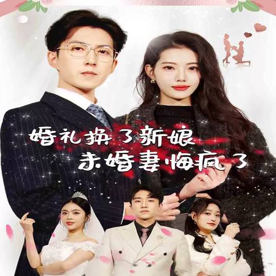 婚礼换了新娘未婚妻悔疯了疯了封面