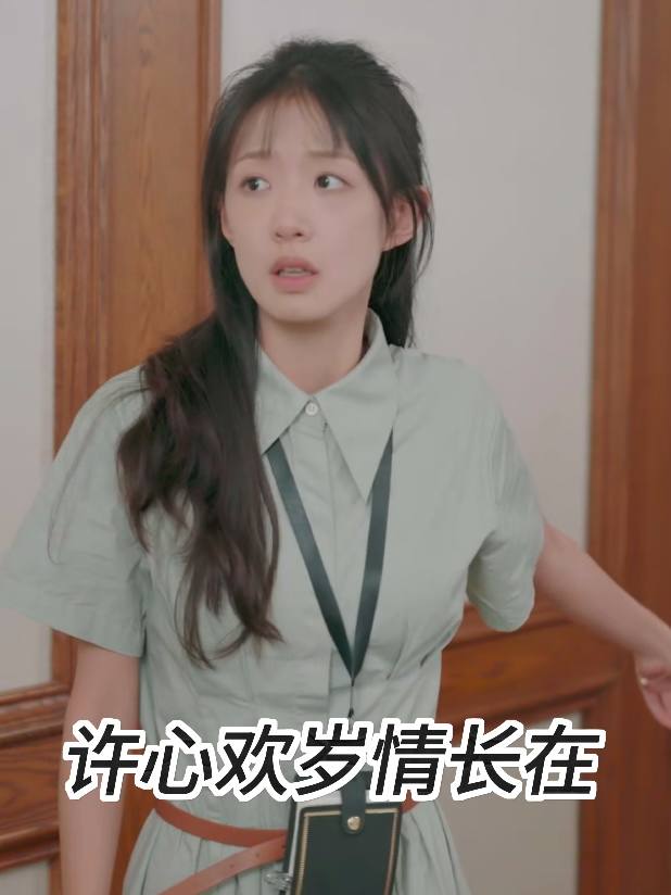 许心欢岁情长在封面