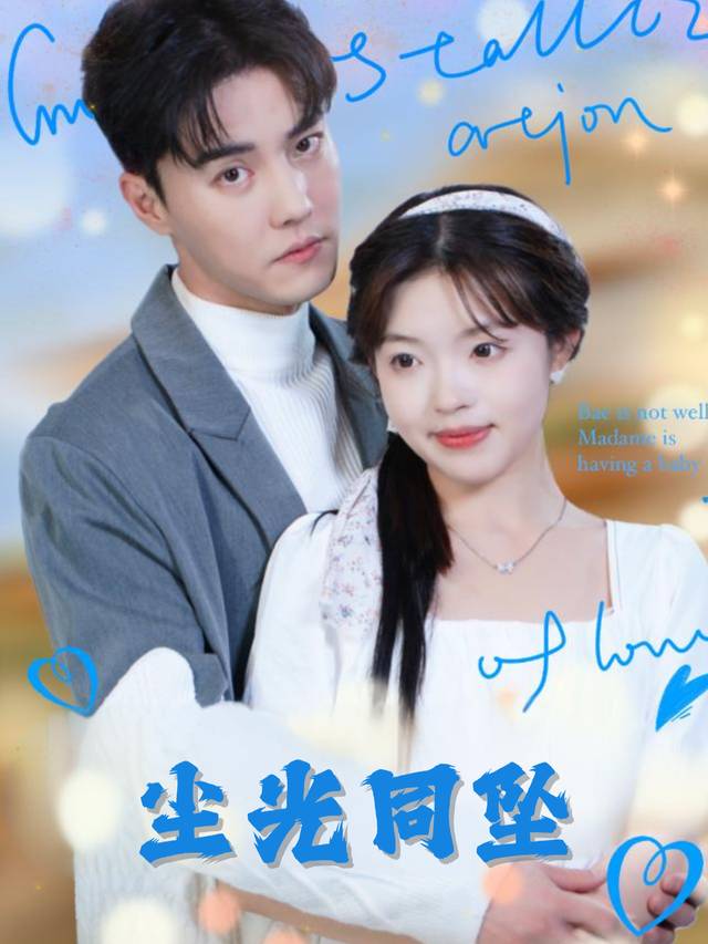 尘光同坠封面