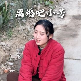 离婚吧小芳封面