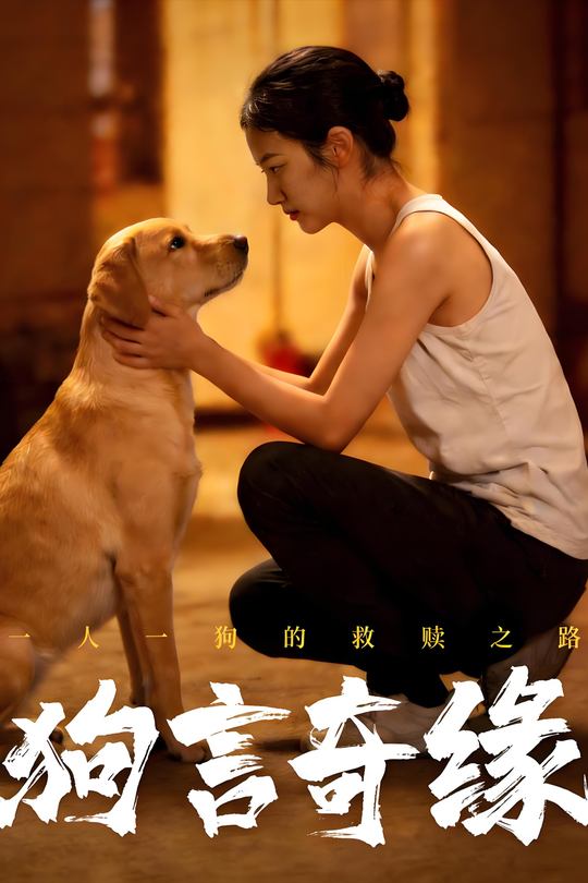 狗言奇缘封面