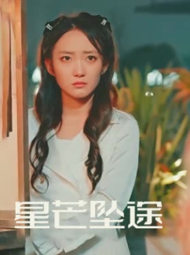 星芒坠途封面