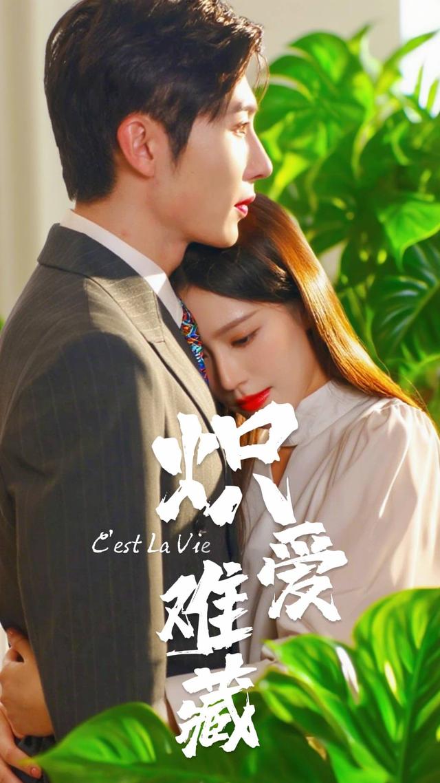 炽爱难藏封面