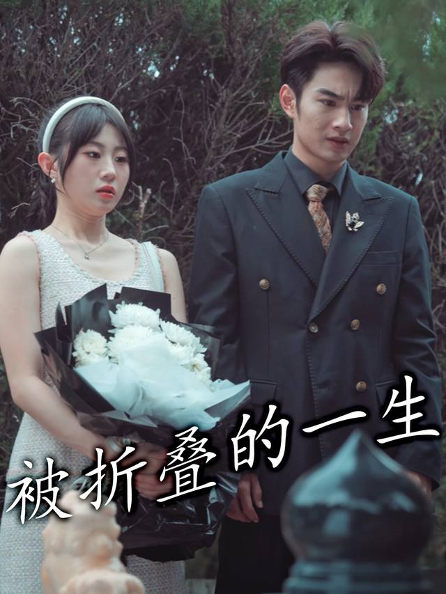 被折叠的一生封面