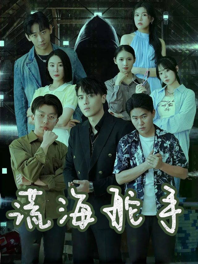 谎海舵手封面