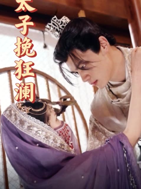 太子挽狂澜封面